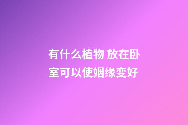 有什么植物 放在卧室可以使姻缘变好